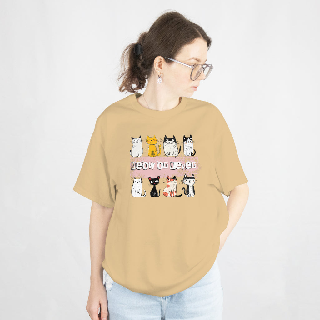 Purrfect Love : Cat Lovers