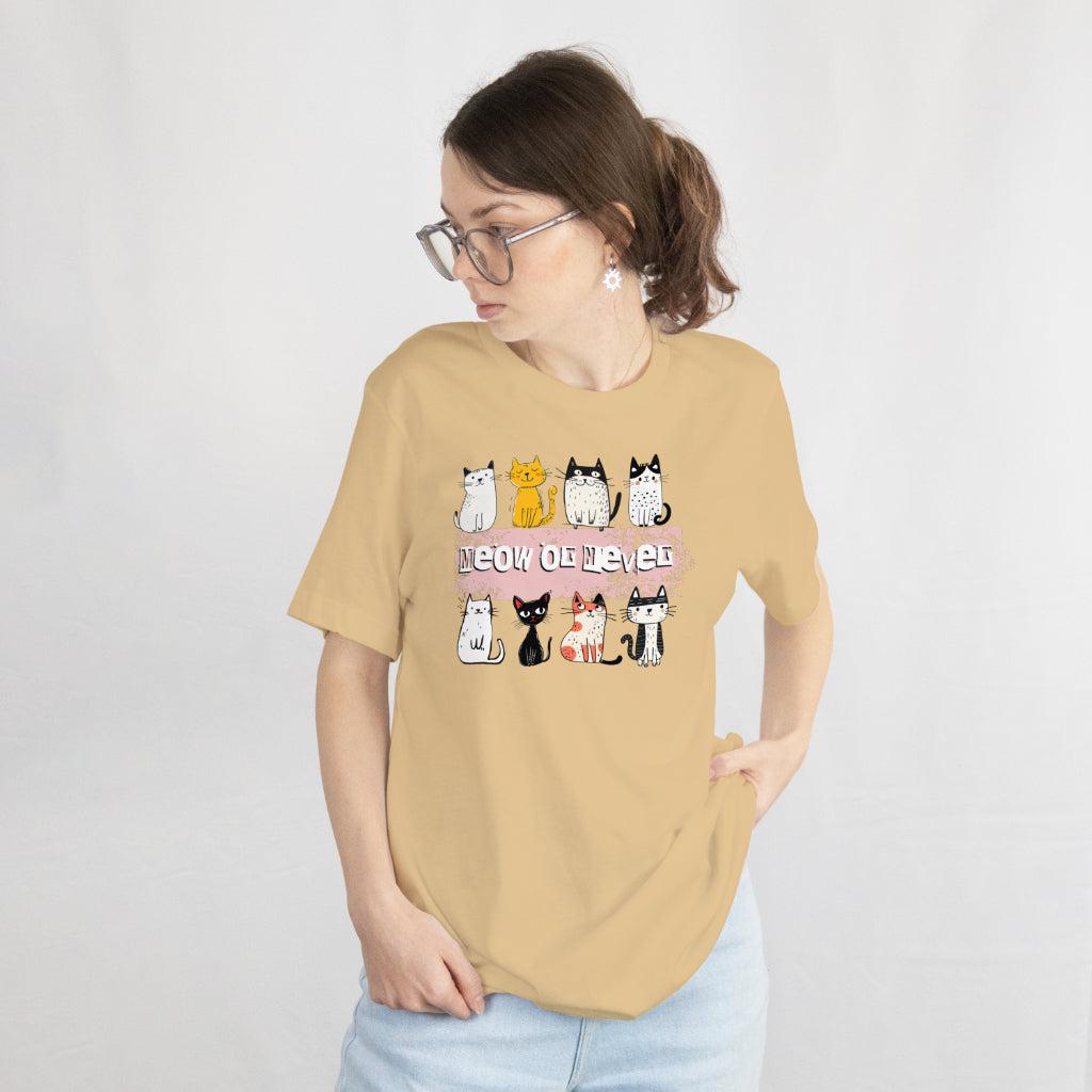 Purrfect Love : Cat Lovers